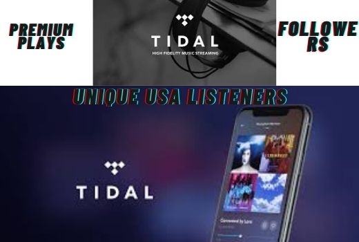 TIDAL promotion plays, unique listeners artiste followers songs like HQ non-drop guaranteed for life