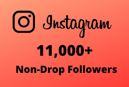 I will Provide 11,000+ Non-Drop & Guaranteed Instagram Followers