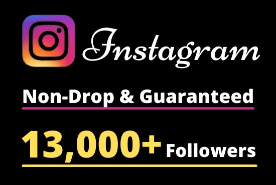 I will Provide 13,000+ Non-Drop & Guaranteed Instagram Followers