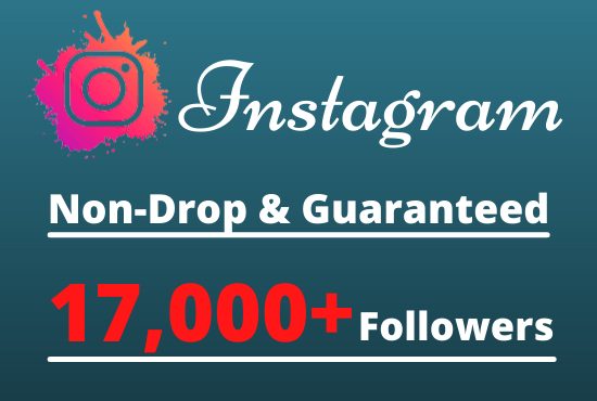 I will Provide 17,000+ Non-Drop & Guaranteed Instagram Followers