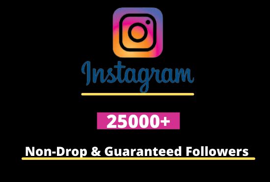 I will Provide 25,000+ Non-Drop & Guaranteed Instagram Followers