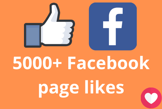 I will add 5000+ Facebook page likes