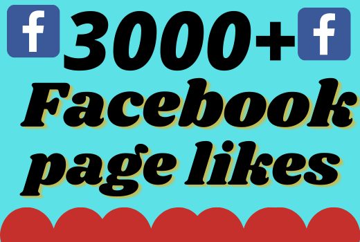 I will add 3000+ real and organic Facebook page likes