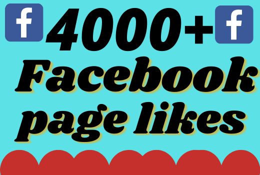 I will add 4000+ real and organic Facebook page likes