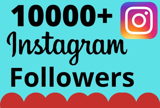 I will add 10000+ real and organic Instagram followers for your business