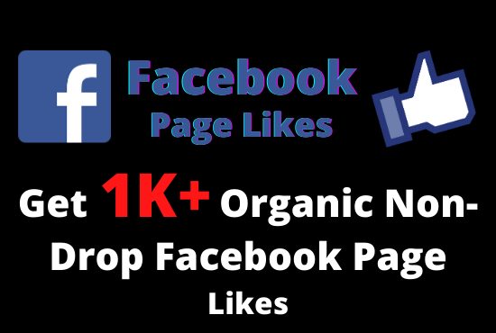 Get 1000+ Organic Non-Drop Facebook Page Likes