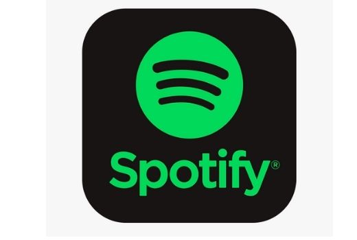 5000+ Spotify plays the best quality service worldwide