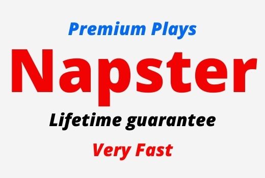 Add 1000 Napster Premium Plays, Lifetime guarantee.