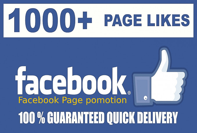 I Will Give 1000 Real Facebook Fan Page Likes