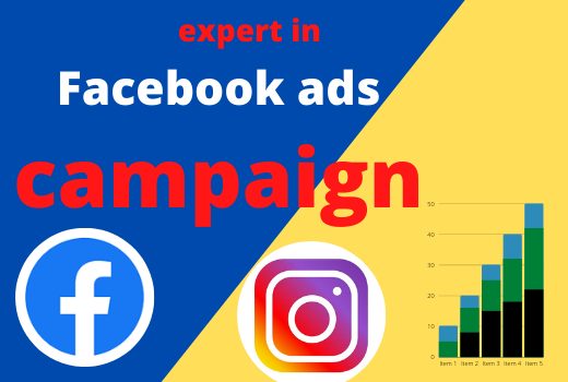 I will be your Facebook manager for run ads campaign