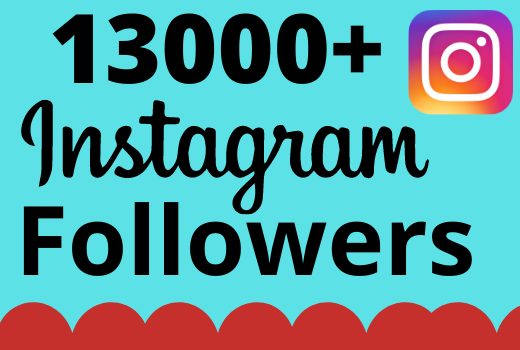 I will add 13000+ real and organic Instagram followers for your business