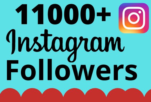 I will add 11000+ real and organic Instagram followers for your business