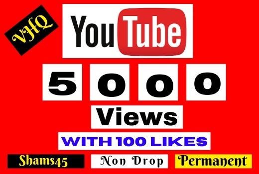 5000+ YOUTUBE VIEWS, I will Promote Your video, NON DROP, Lifetime guaranteed