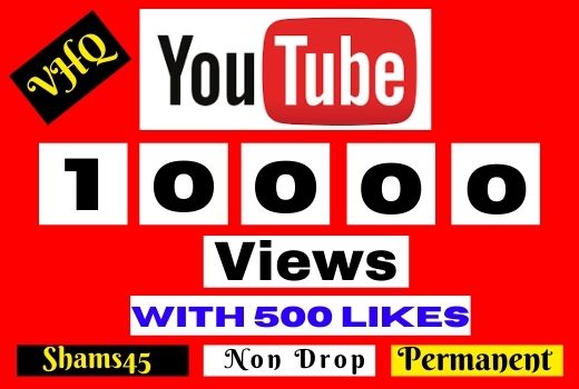 10000+ YOUTUBE VIEWS, I will Promote Your video, NON DROP, Lifetime guaranteed