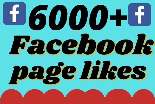 I will add 6000+ real and organic Facebook page likes