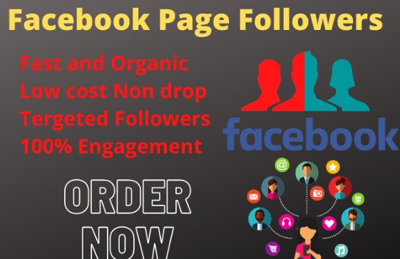 You will get 1000+ non drop active followers or Likes for your business page