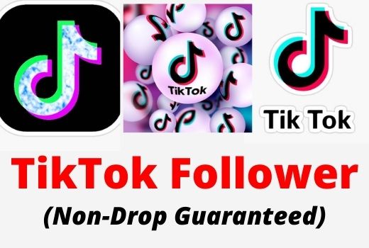 I will Drive 10,000 Real TikTok Followers with a Money-back guarantee.