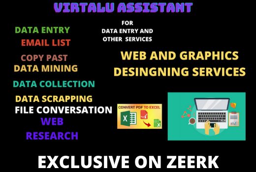 I will be your professional virtual assistant for data entry services