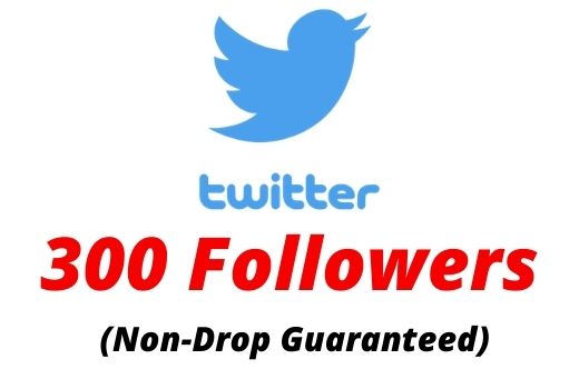 Provide 300 Real Twitter Followers Non-drop Lifetime Guaranteed.