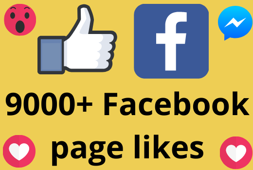 I will add 9000+ REAL AND non drop Facebook Page likes