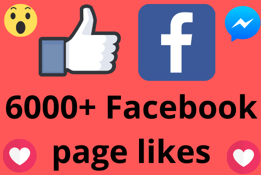I will add 6000+ REAL AND non drop Facebook Page likes