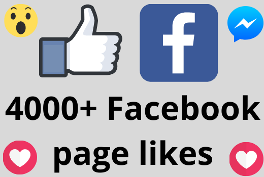 I will add 4000+ REAL AND non drop Facebook Page likes
