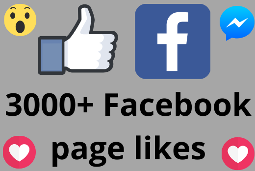 I will add 3000+ REAL AND non drop Facebook Page likes