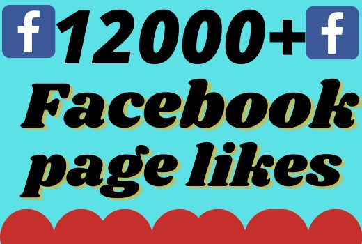 I will add 12000+ real and organic Facebook page likes
