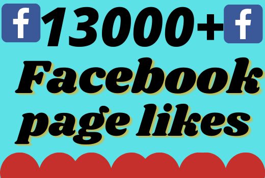 I will add 13000+ real and organic Facebook page likes