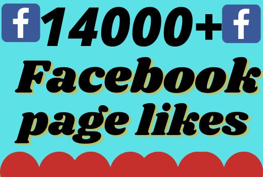 I will add 14000+ real and organic Facebook page likes