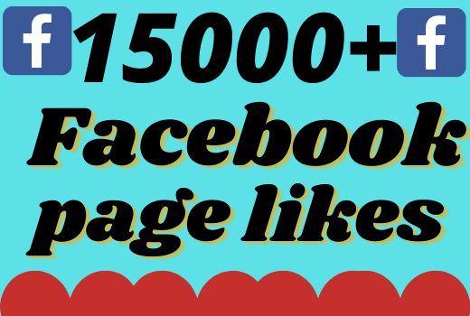 I will add 15000+ real and organic Facebook page likes