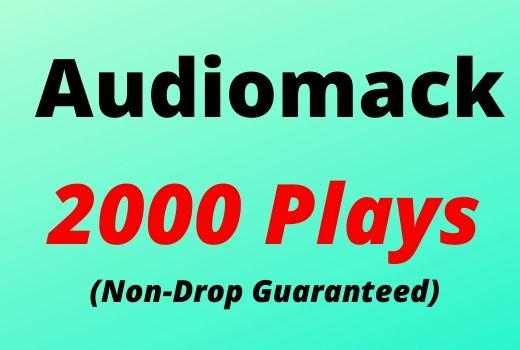 Provide 2000 Audiomack Plays Non-drop Lifetime Guaranteed.