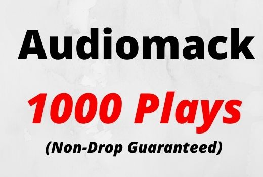 Provide 1000 Audiomack Plays Non-drop Lifetime Guaranteed.