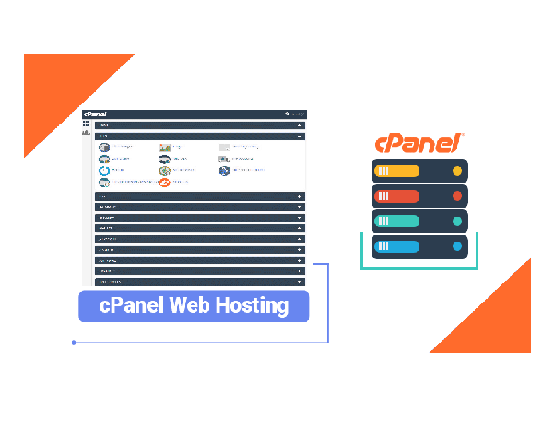 Unlimited space cPanel web hosting for 1 year – Buy hosting get WordPress theme bonus