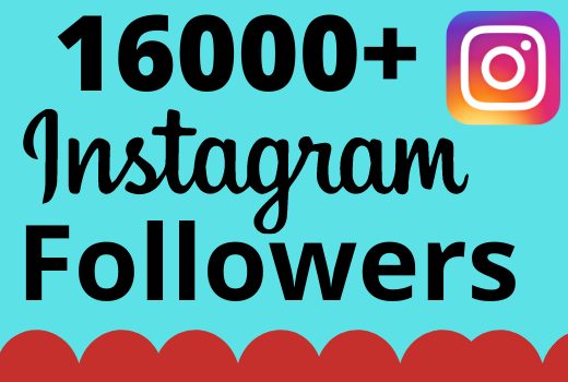 I will add 16000+ real and organic Instagram followers for your business