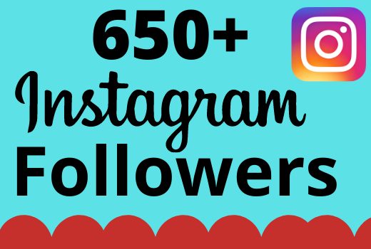 I will add 650+ real and organic Instagram followers for your business