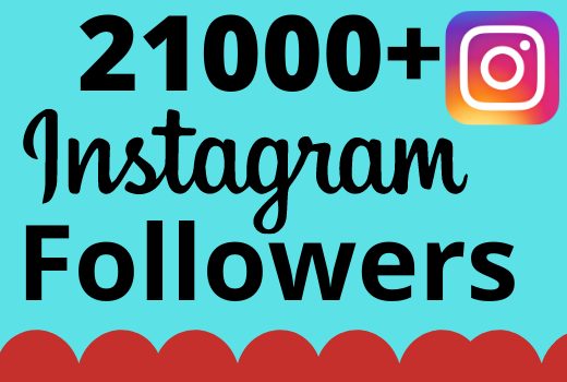I will add 21000+ real and organic Instagram followers for your business