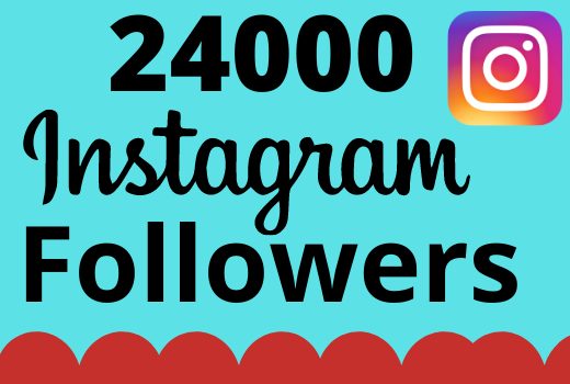 I will add 24000+ real and organic Instagram followers for your business