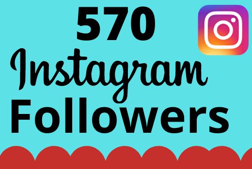 I will add 570+ real and organic Instagram followers for your business