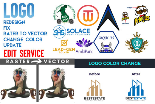 I will redesign, vectorize, update, edit, fix and trace your logo