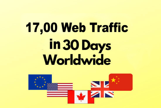 I will bring real visitors and targeted web traffic