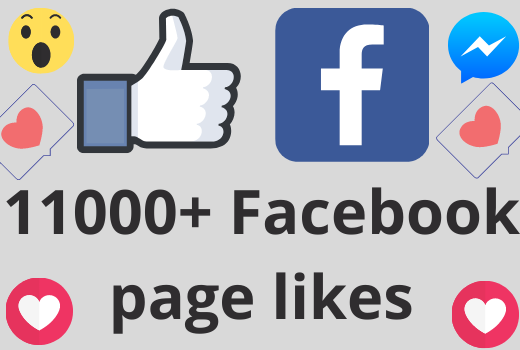 I will add 11000+ REAL AND non drop Facebook Page likes