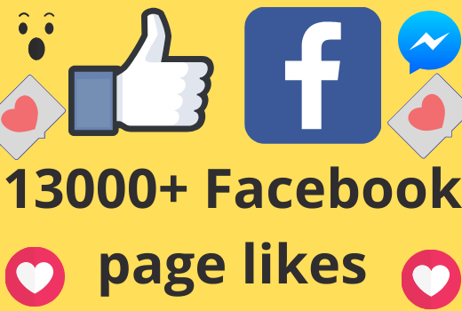 I will add 13000+ REAL AND non drop Facebook Page likes