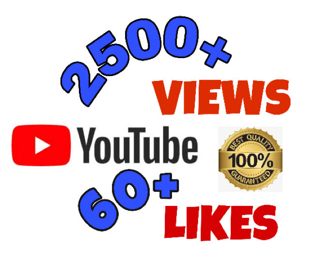 I will add 2500+ VIEWS and 60+ LIKES on youtube . Non Drop & Fast delivery.