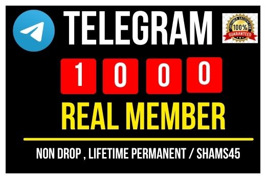 Get Instant 1000+ Telegram Real Member, 100% Non-drop, Real and Lifetime permanent