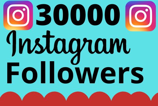 I will add 30000+ real and organic Instagram followers for your business