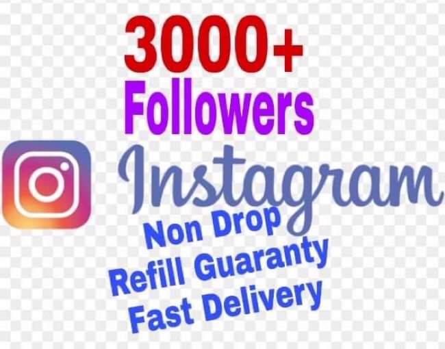 I will provide 3000+ Followers on Instagram!! Fast and HQ!!