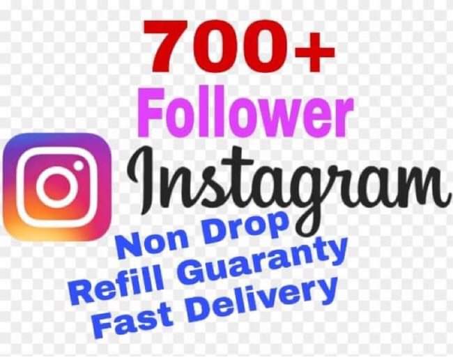 I will provide 700+ Followers on Instagram!! Fast and HQ!!