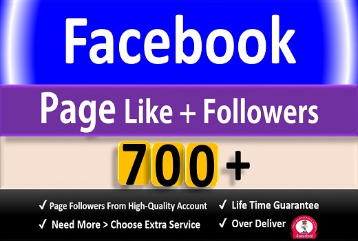 Get 700+ Facebook Fan Page Likes + Followers, Permanent Active user Guaranteed.