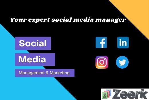 Your expert social media manager for Facebook Instagram marketing